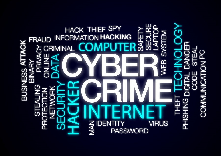 case study of cybercrime
