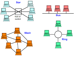 What are the types of Network Topology??