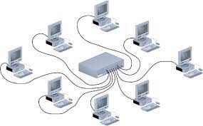 What are the types of Network Topology??