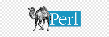 Perl
