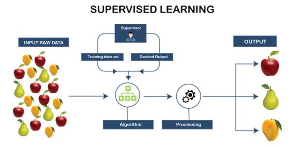 Role of Machine Learning in Real World