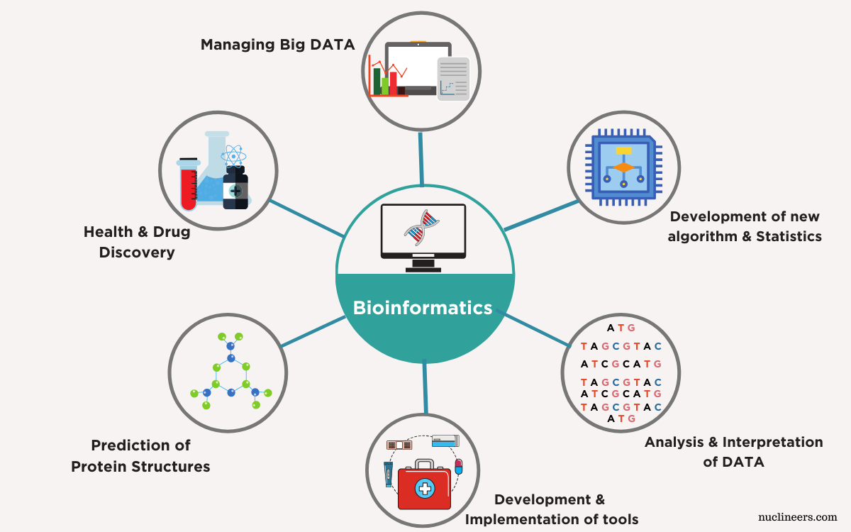 components of bioinformatics